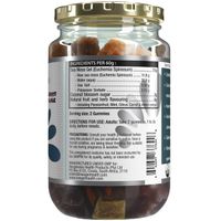 Neogenesis Sea Moss Gummies